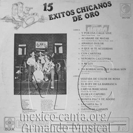 GRUPO MUSICAL LLUVIA grupo musical lluvia: